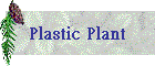 Plastic Plant